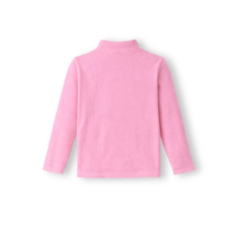 Long Sleeve Turtle Neck Skivvy - Pink